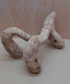 Bamboo Root - Large - 5