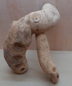 Bamboo Root - Large - 5