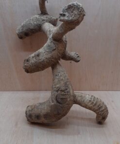 Bamboo Root - Large - 10