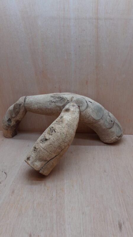 Bamboo Root - Large - 7