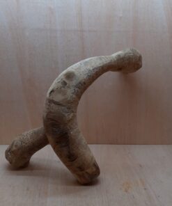 Bamboo Root - Large - 8