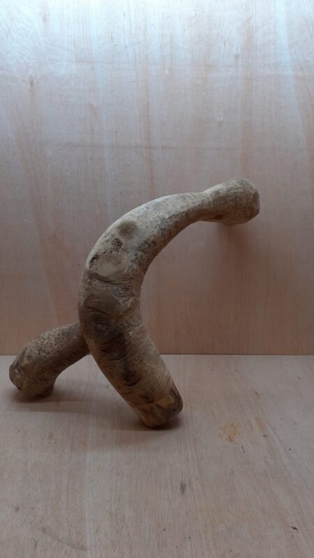 Bamboo Root - Large - 8