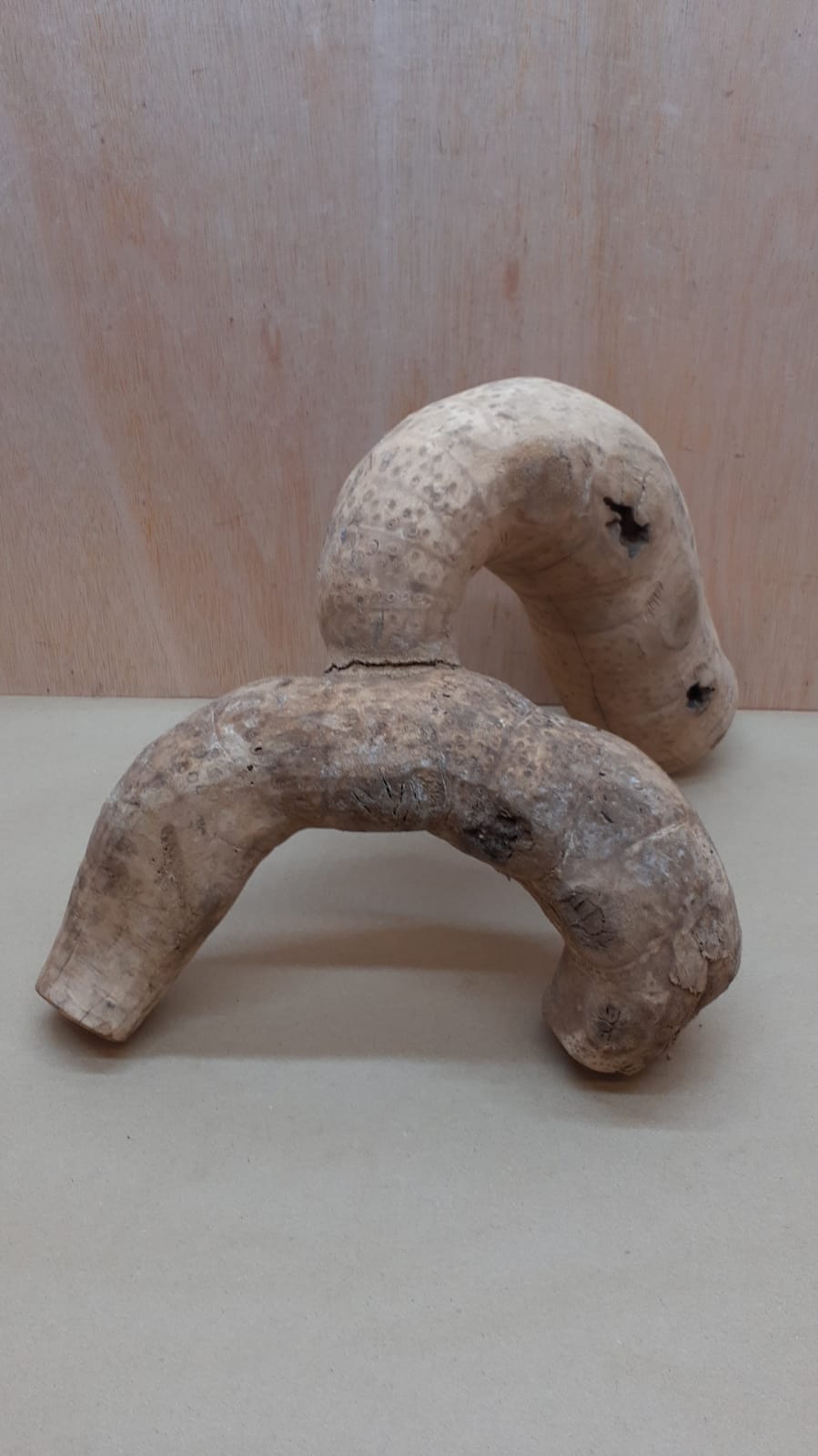 Bamboo Root - Large - 10