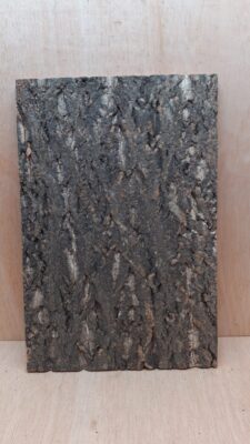 Cork Bark Background Panel 30x45cm - 18
