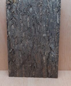Cork Bark Background Panel 30x45cm - 19