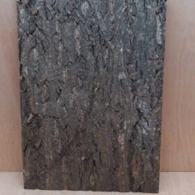 Cork Bark Background Panel 30x45cm - 19
