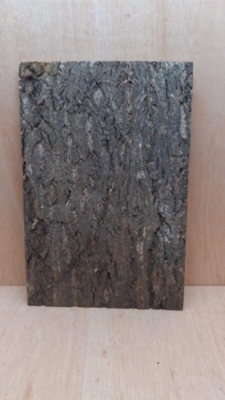 Cork Bark Background Panel 30x45cm - 19