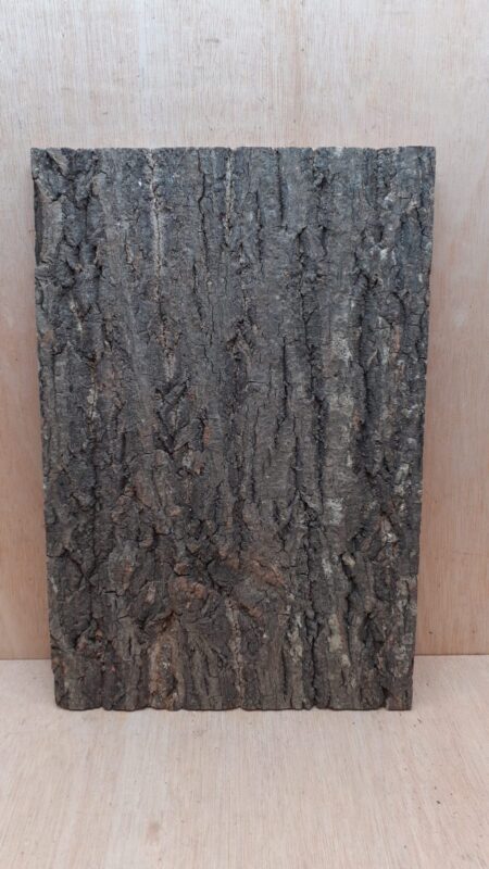Cork Bark Background Panel 30x45cm - 20