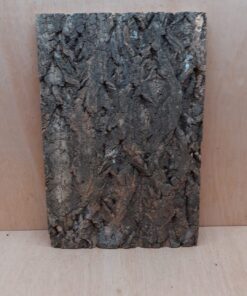 Cork Bark Background Panel 30x45cm - 11