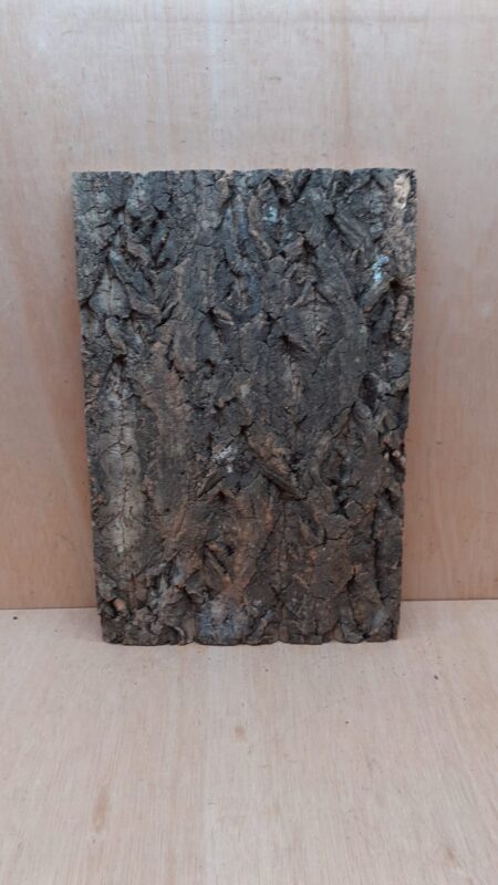 Cork Bark Background Panel 30x45cm - 11