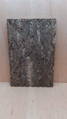 Cork Bark Background Panel 30x45cm - 12