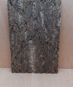 Cork Bark Background Panel 30x45cm - 12