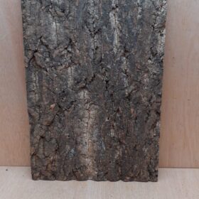 Cork Bark Background Panel 30x45cm - 12