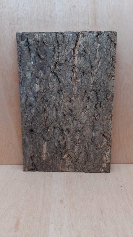 Cork Bark Background Panel 30x45cm - 13