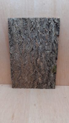 Cork Bark Background Panel 30x45cm - 14