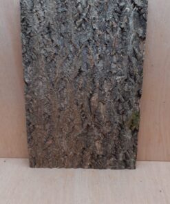 Cork Bark Background Panel 30x45cm - 14