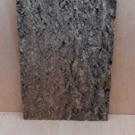Cork Bark Background Panel 30x45cm - 14