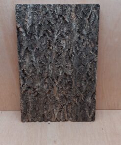 Cork Bark Background Panel 30x45cm - 15