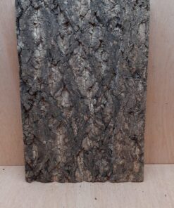 Cork Bark Background Panel 30x45cm - 16