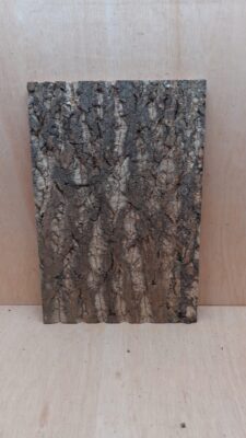 Cork Bark Background Panel 30x45cm - 17