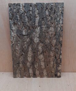 Cork Bark Background Panel 30x45cm - 17