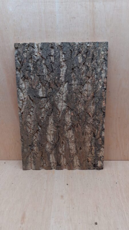 Cork Bark Background Panel 30x45cm - 17