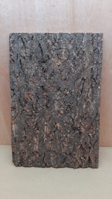 Cork Bark Background Panel 30x45cm - 16