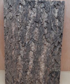 Cork Bark Background Panel 30x45cm - 14