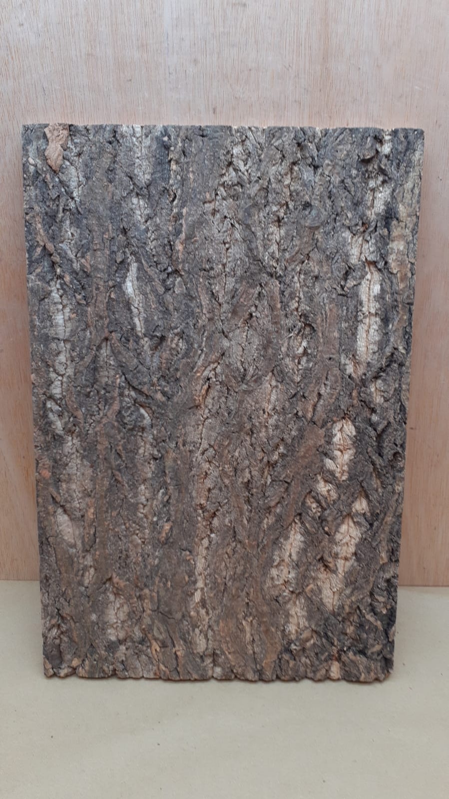 Cork Bark Background Panel 30x45cm - 15