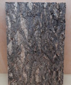 Cork Bark Background Panel 30x45cm - 20