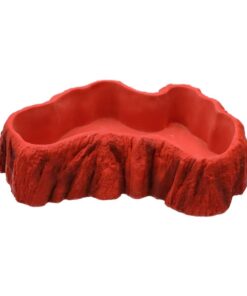 Pro Rep Beardie Billabong Pool Large