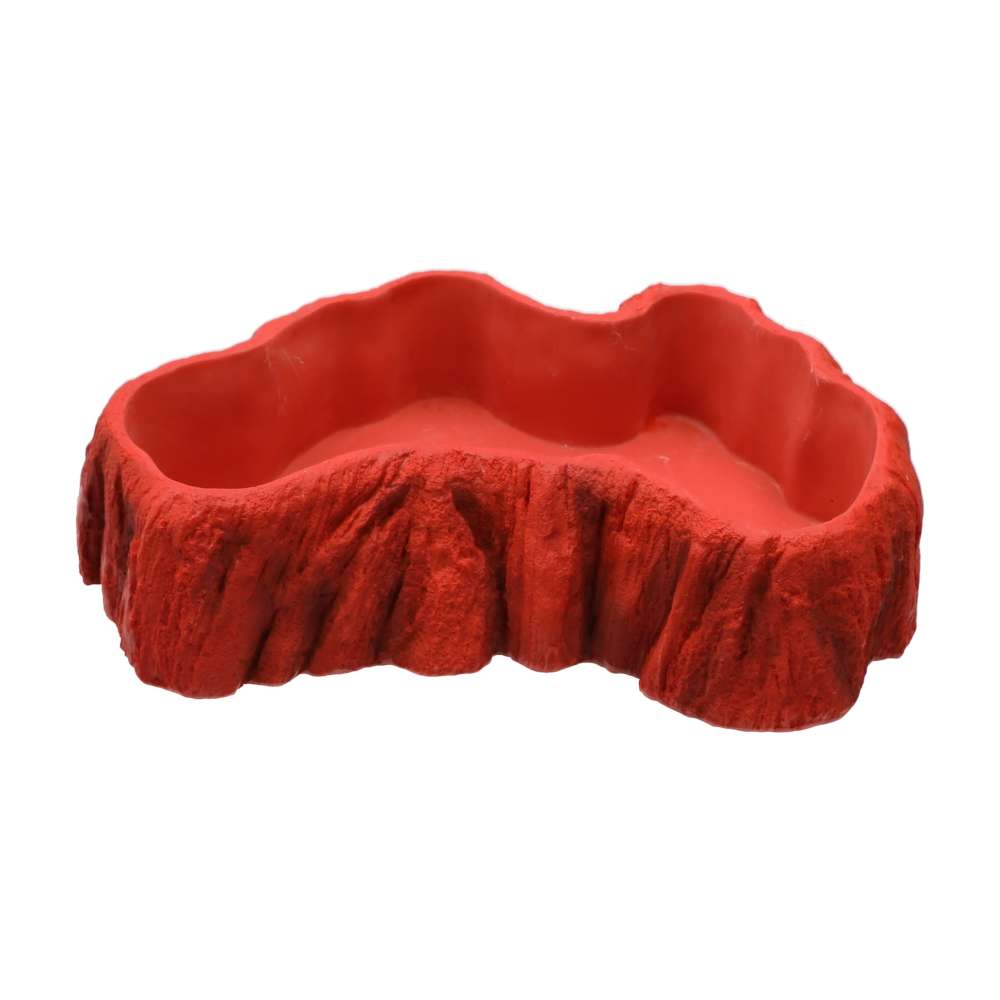 Pro Rep Beardie Billabong Pool Large