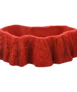 Pro Rep Beardie Billabong Pool Small