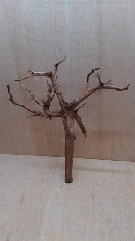 Moorwood - Large 16