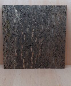 Cork Bark Background Panel 60x60cm - 12