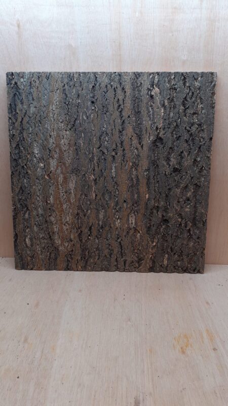 Cork Bark Background Panel 60x60cm - 16