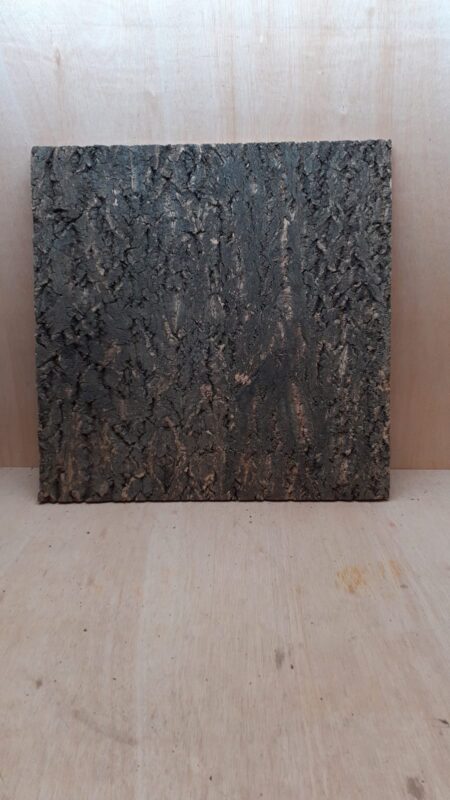 Cork Bark Background Panel 60x60cm - 17