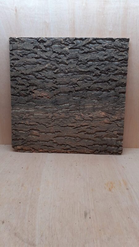 Cork Bark Background Panel 60x60cm - 18