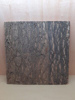 Cork Bark Background Panel 60x60cm - 12