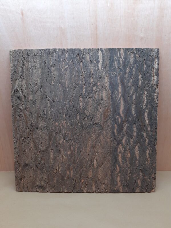Cork Bark Background Panel 60x60cm - 12