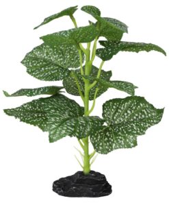 ProRep Terrestrial Begonia Polka Dot 27cm