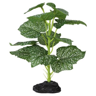 ProRep Terrestrial Begonia Polka Dot 27cm