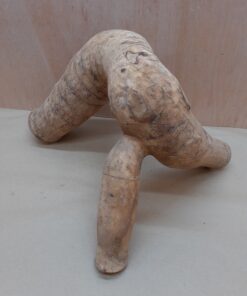 Bamboo Root - Large - 6