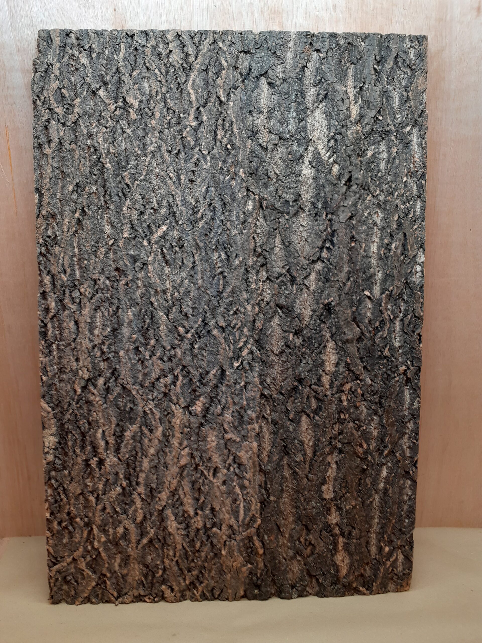Cork Bark Background Panel 90x60cm - 10