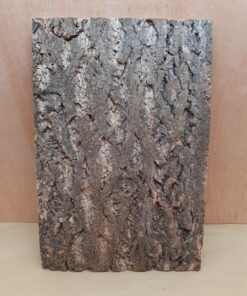 Cork Bark Background Panel 30x45cm - 19