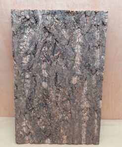 Cork Bark Background Panel 30x45cm - 18