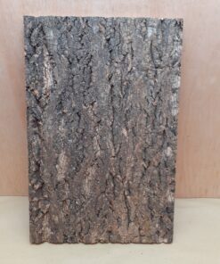 Cork Bark Background Panel 30x45cm - 11