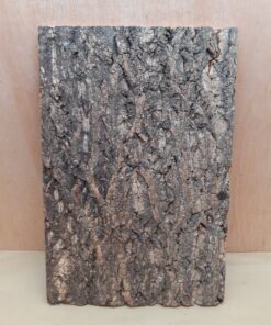 Cork Bark Background Panel 30x45cm - 4