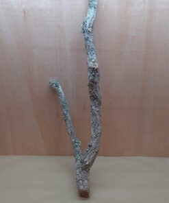 Large Cork Branch - 80-110cm - 10
