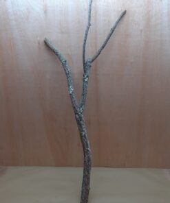 Large Cork Branch - 80-110cm - 13